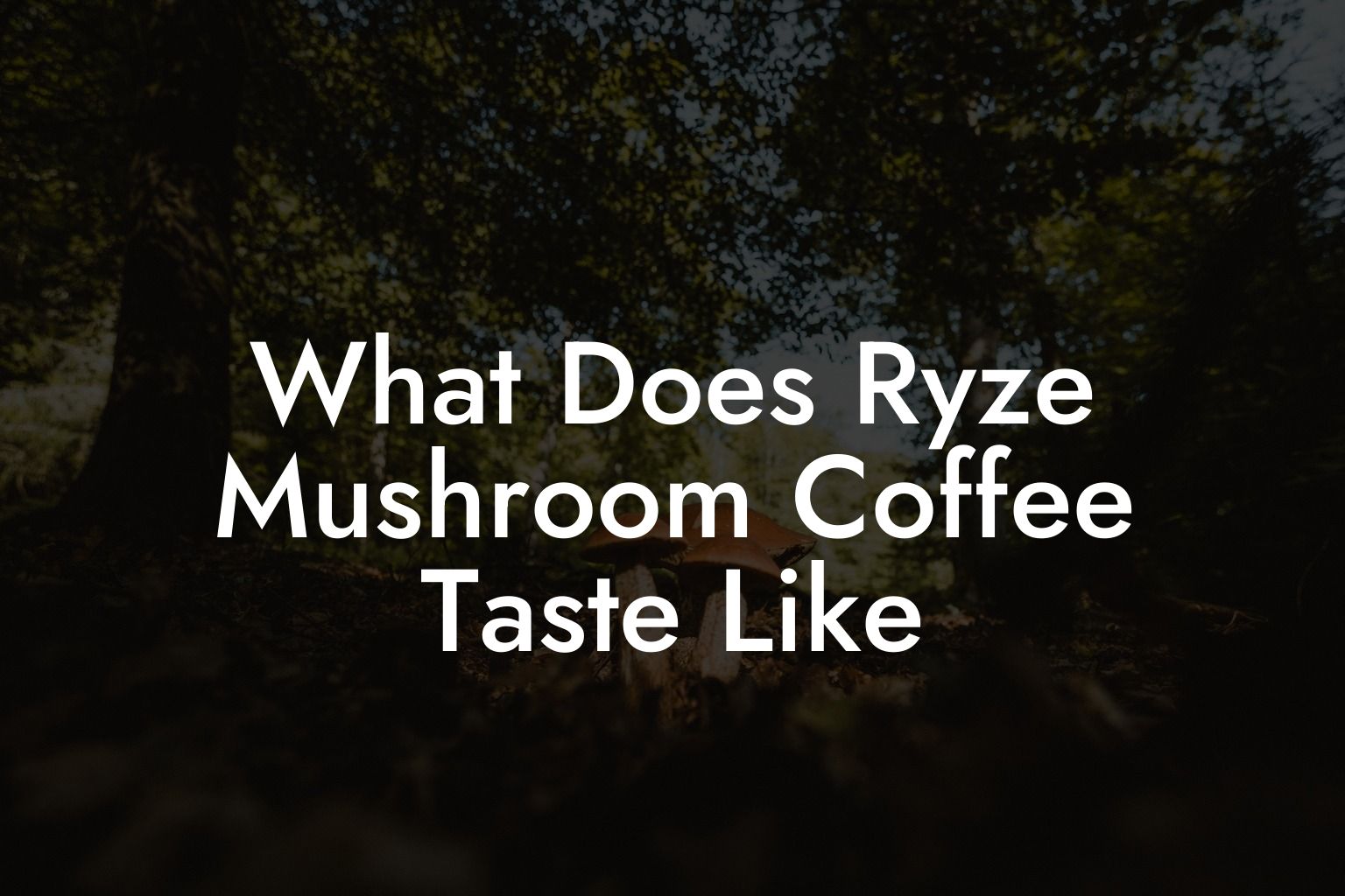 What Does Ryze Mushroom Coffee Taste Like