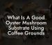 What Is A Good Oyster Mushroom Substrate Using Coffee Grounds
