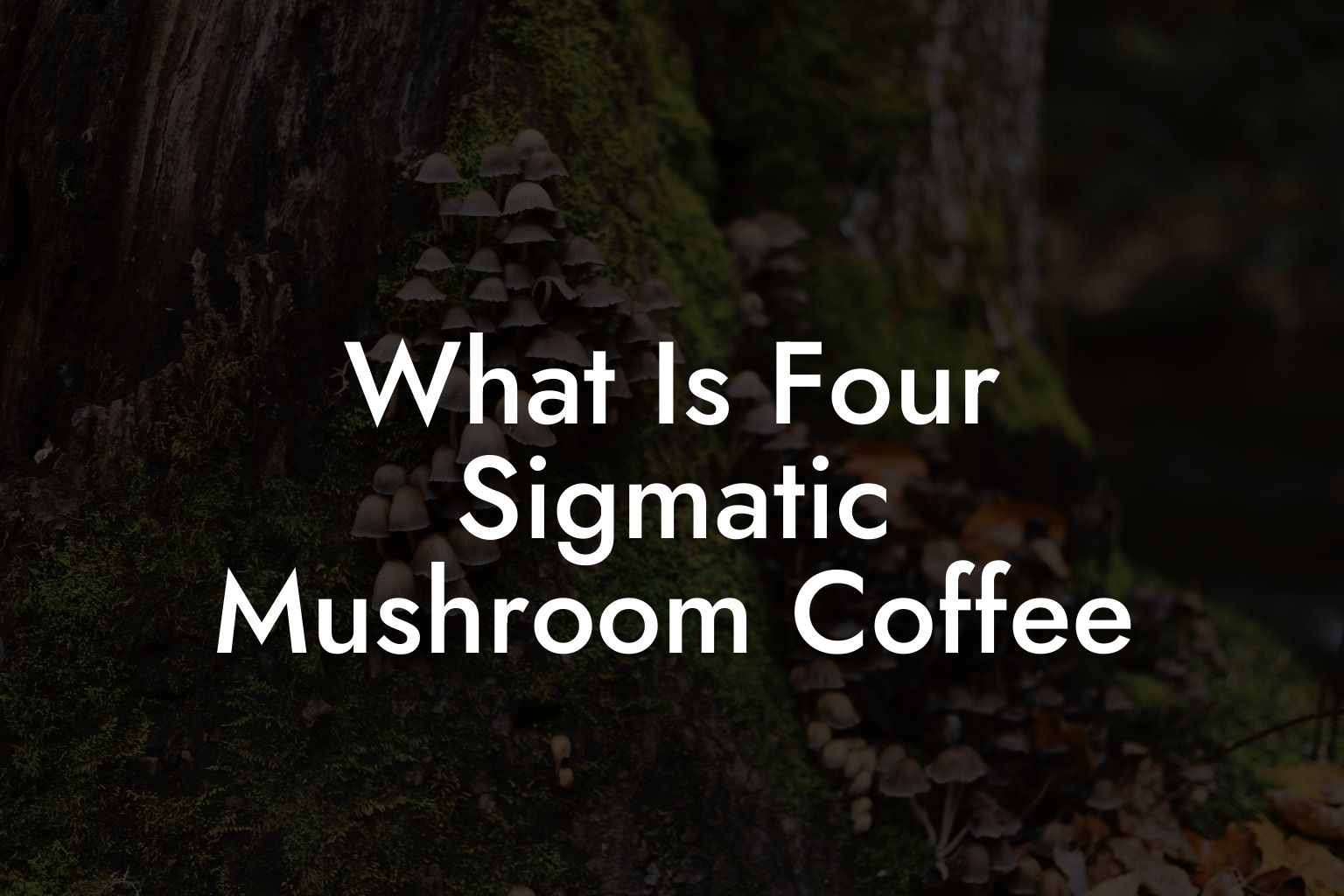 What Is Four Sigmatic Mushroom Coffee