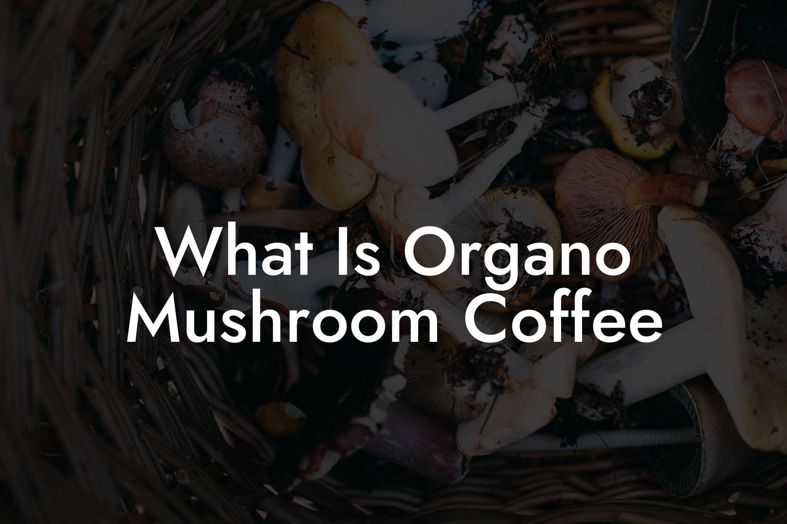 What Is Organo Mushroom Coffee