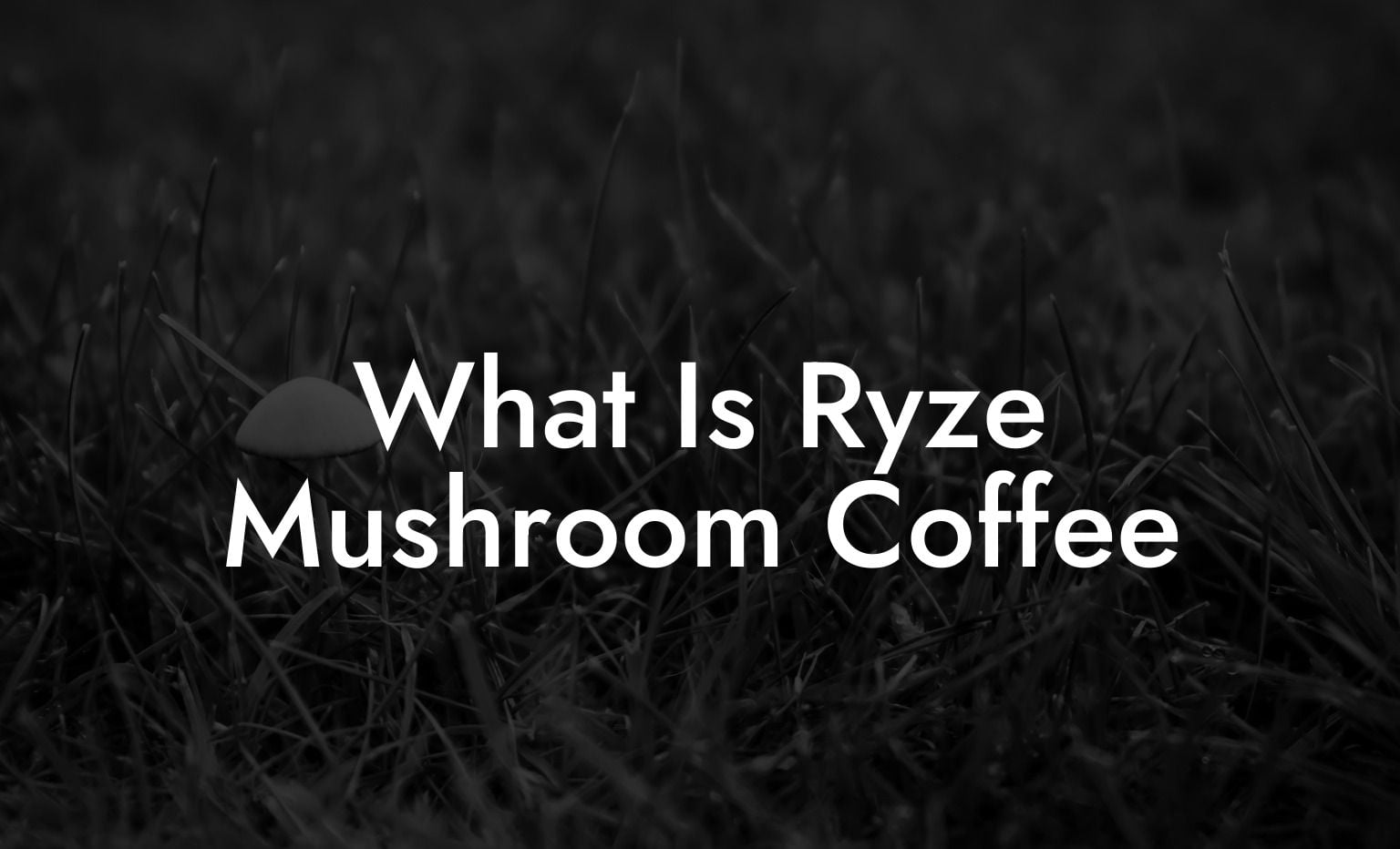 What Is Ryze Mushroom Coffee