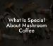 What Is Special About Mushroom Coffee