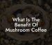 What Is The Benefit Of Mushroom Coffee
