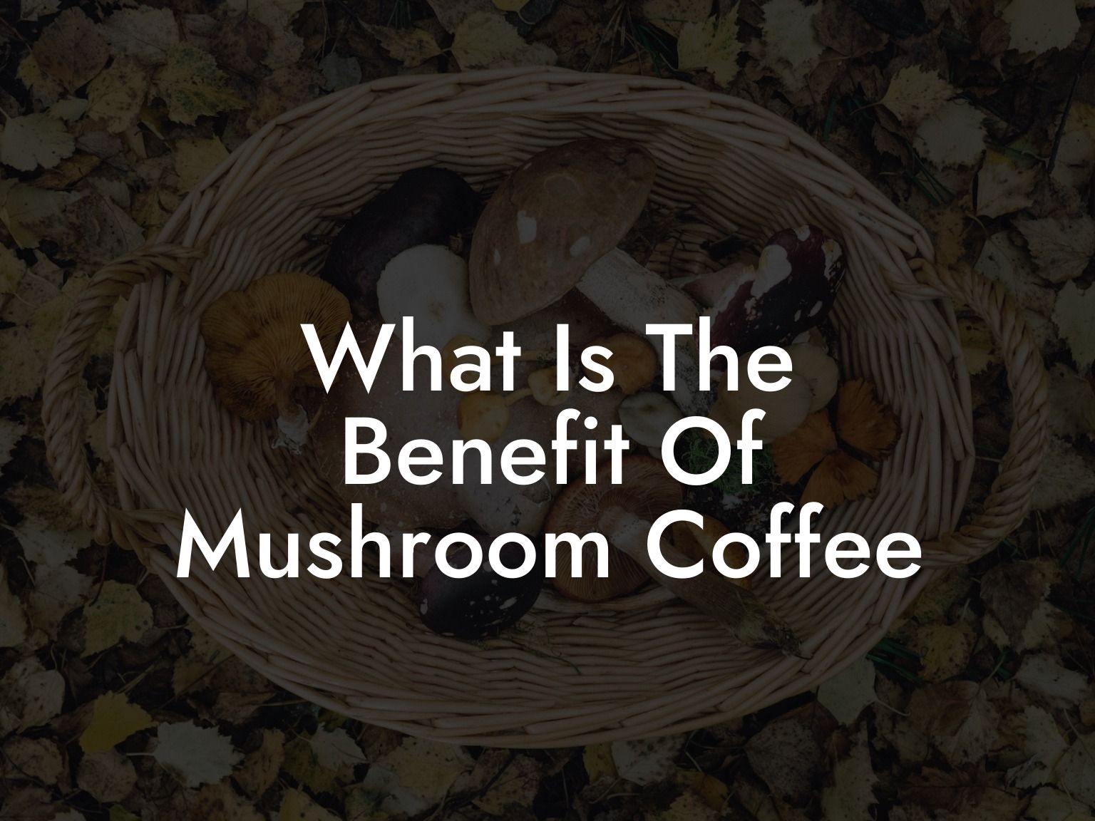 What Is The Benefit Of Mushroom Coffee