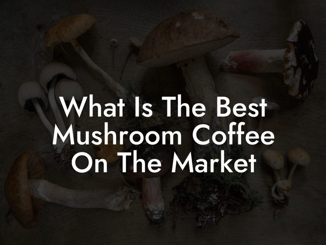 What Is The Best Mushroom Coffee On The Market