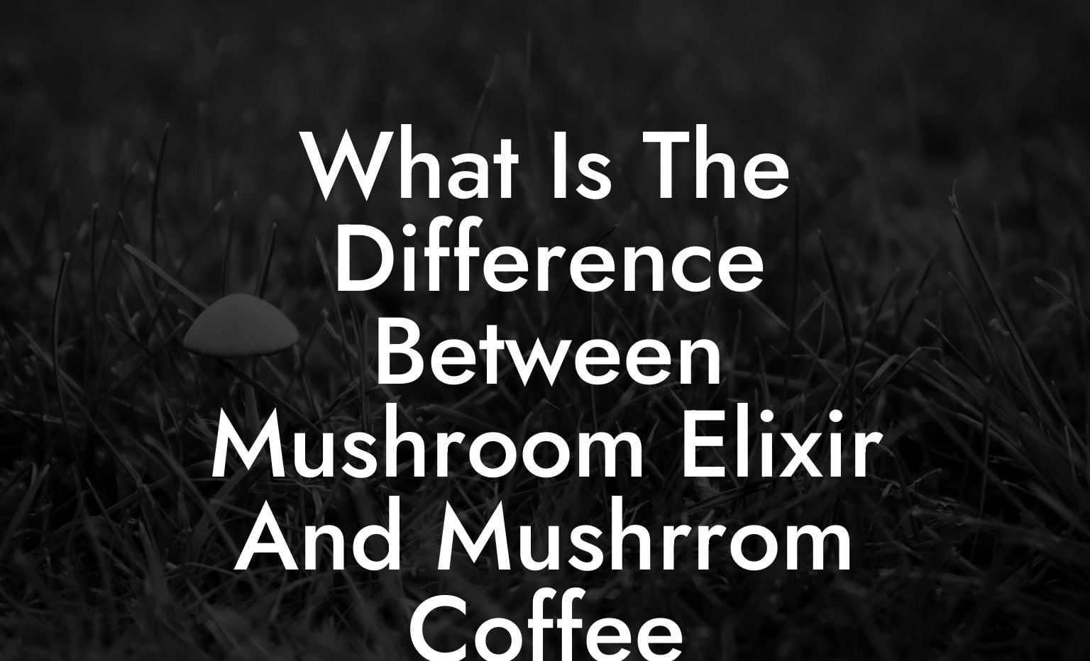 What Is The Difference Between Mushroom Elixir And Mushrrom Coffee