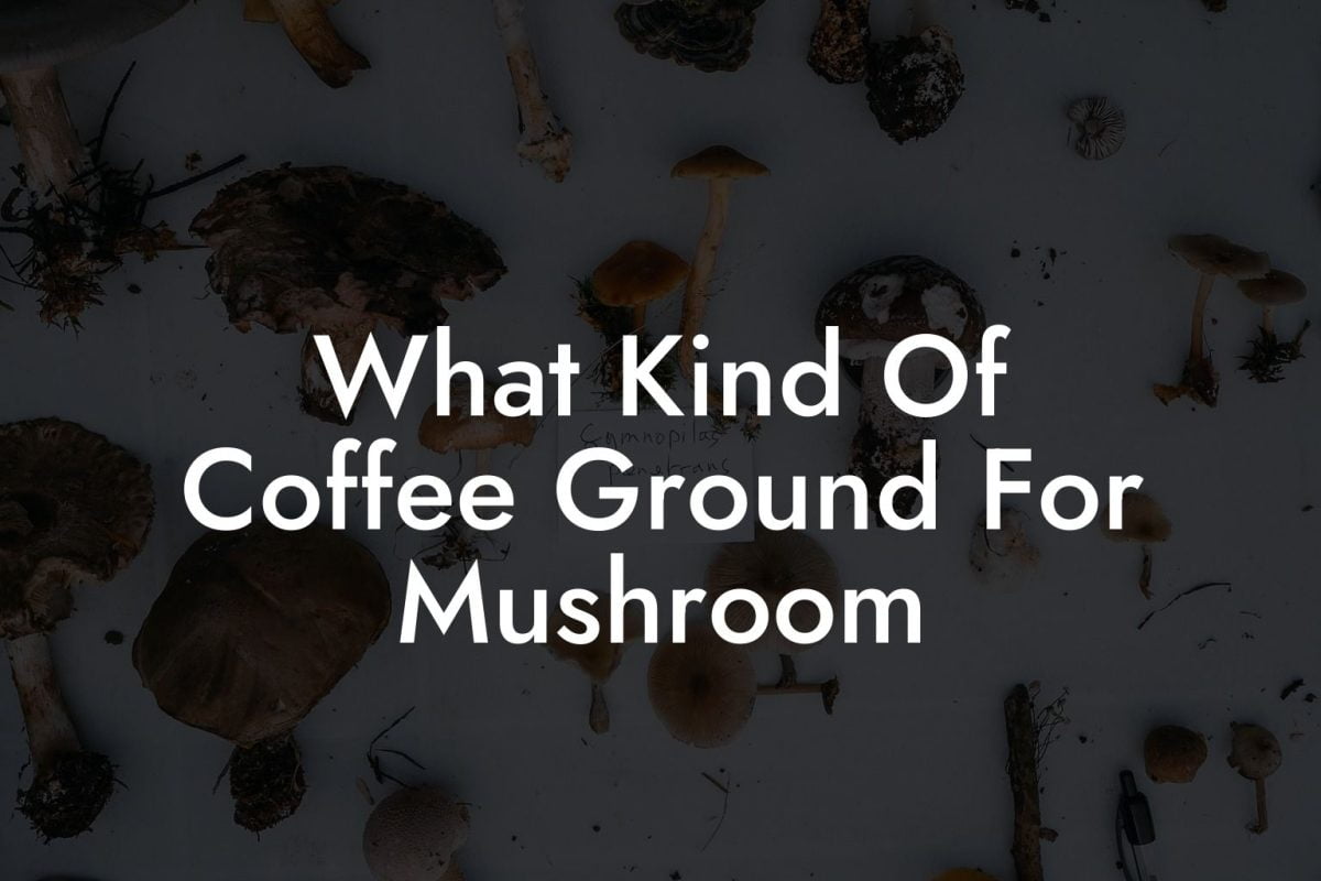 What Kind Of Coffee Ground For Mushroom