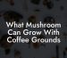What Mushroom Can Grow With Coffee Grounds