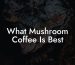 What Mushroom Coffee Is Best