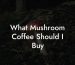 What Mushroom Coffee Should I Buy