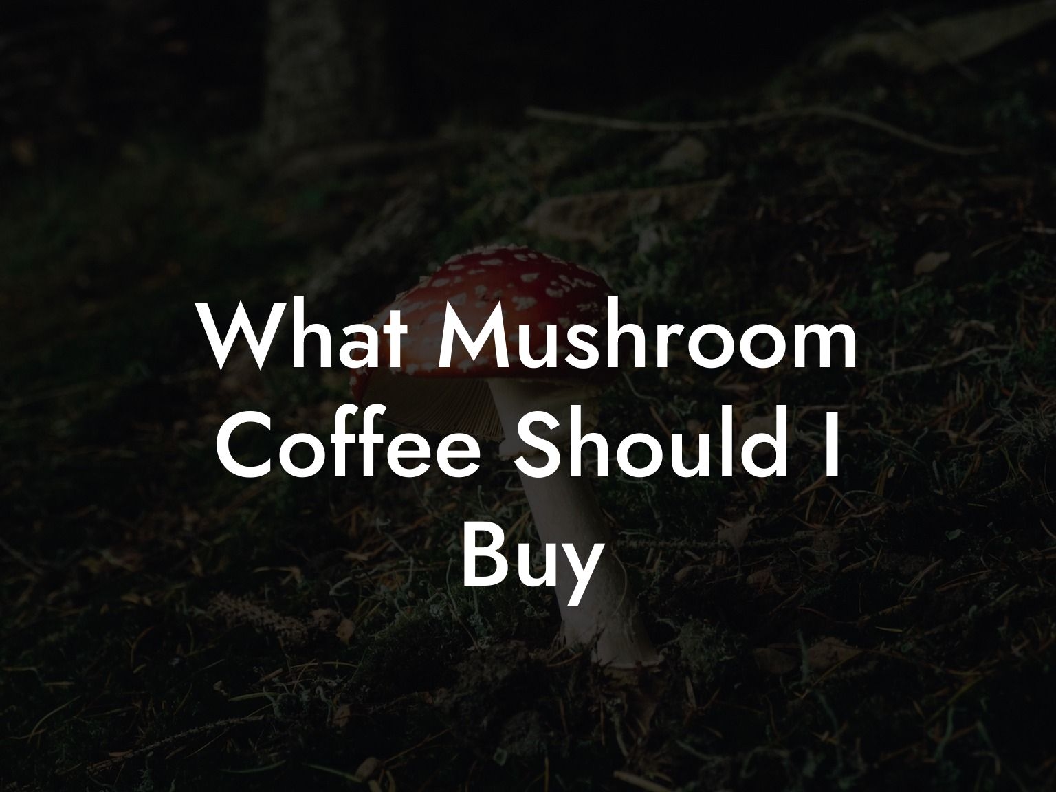 What Mushroom Coffee Should I Buy