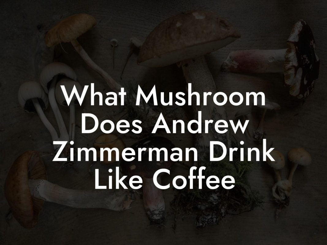 What Mushroom Does Andrew Zimmerman Drink Like Coffee