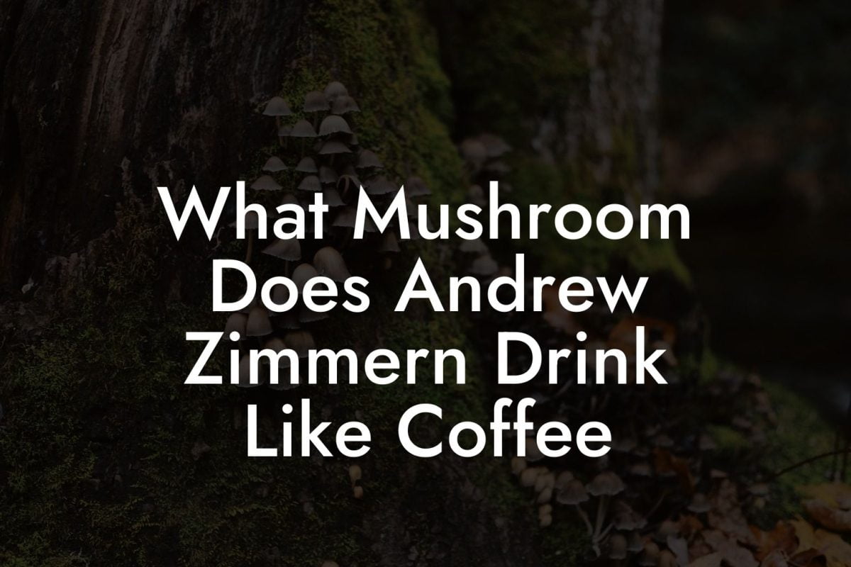 What Mushroom Does Andrew Zimmern Drink Like Coffee