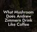 What Mushroom Does Andrew Zimmern Drink Like Coffee