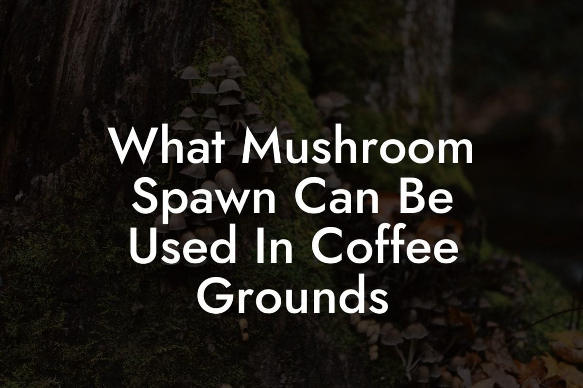 What Mushroom Spawn Can Be Used In Coffee Grounds