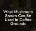 What Mushroom Spawn Can Be Used In Coffee Grounds