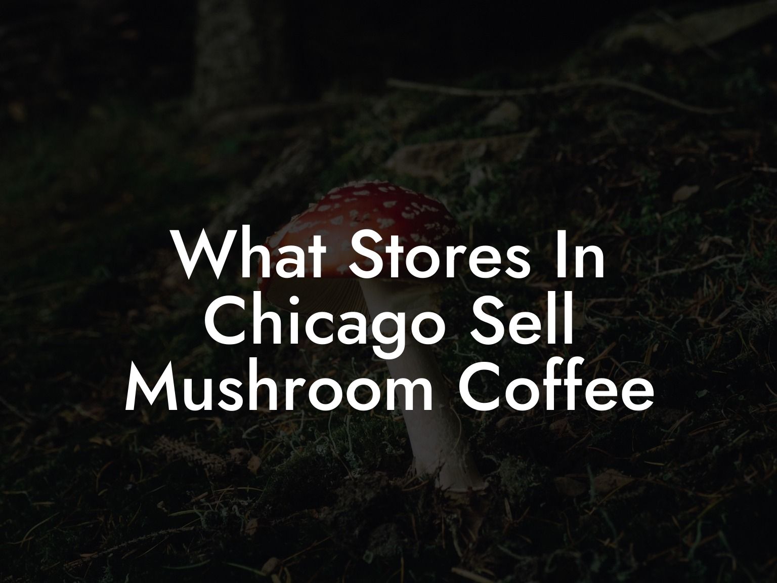 What Stores In Chicago Sell Mushroom Coffee