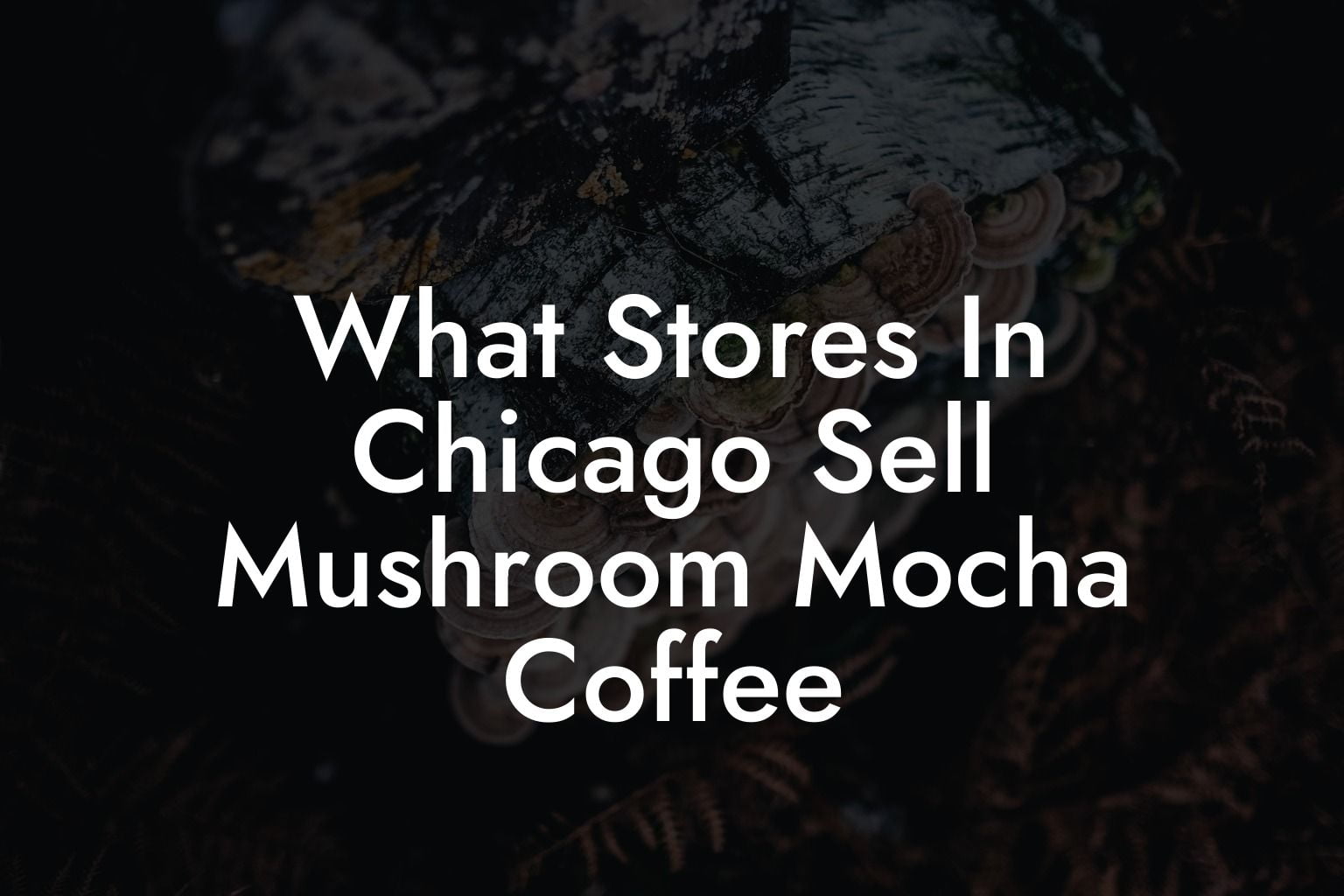 What Stores In Chicago Sell Mushroom Mocha Coffee