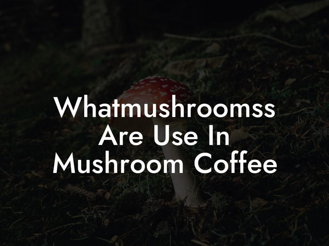 Whatmushroomss Are Use In Mushroom Coffee