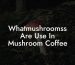 Whatmushroomss Are Use In Mushroom Coffee