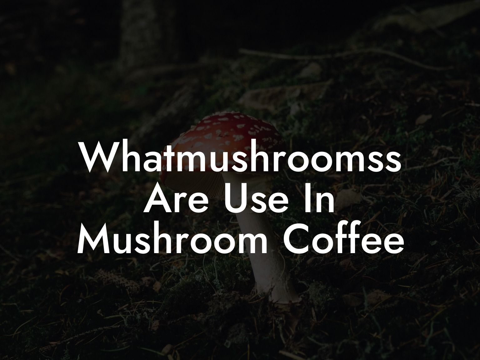 Whatmushroomss Are Use In Mushroom Coffee