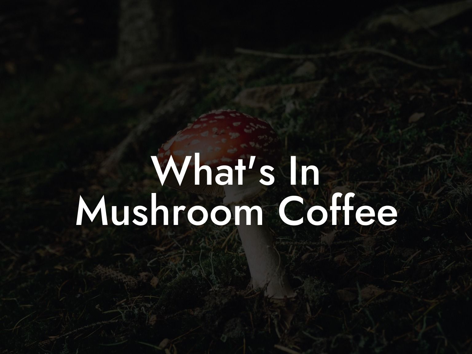 What's In Mushroom Coffee