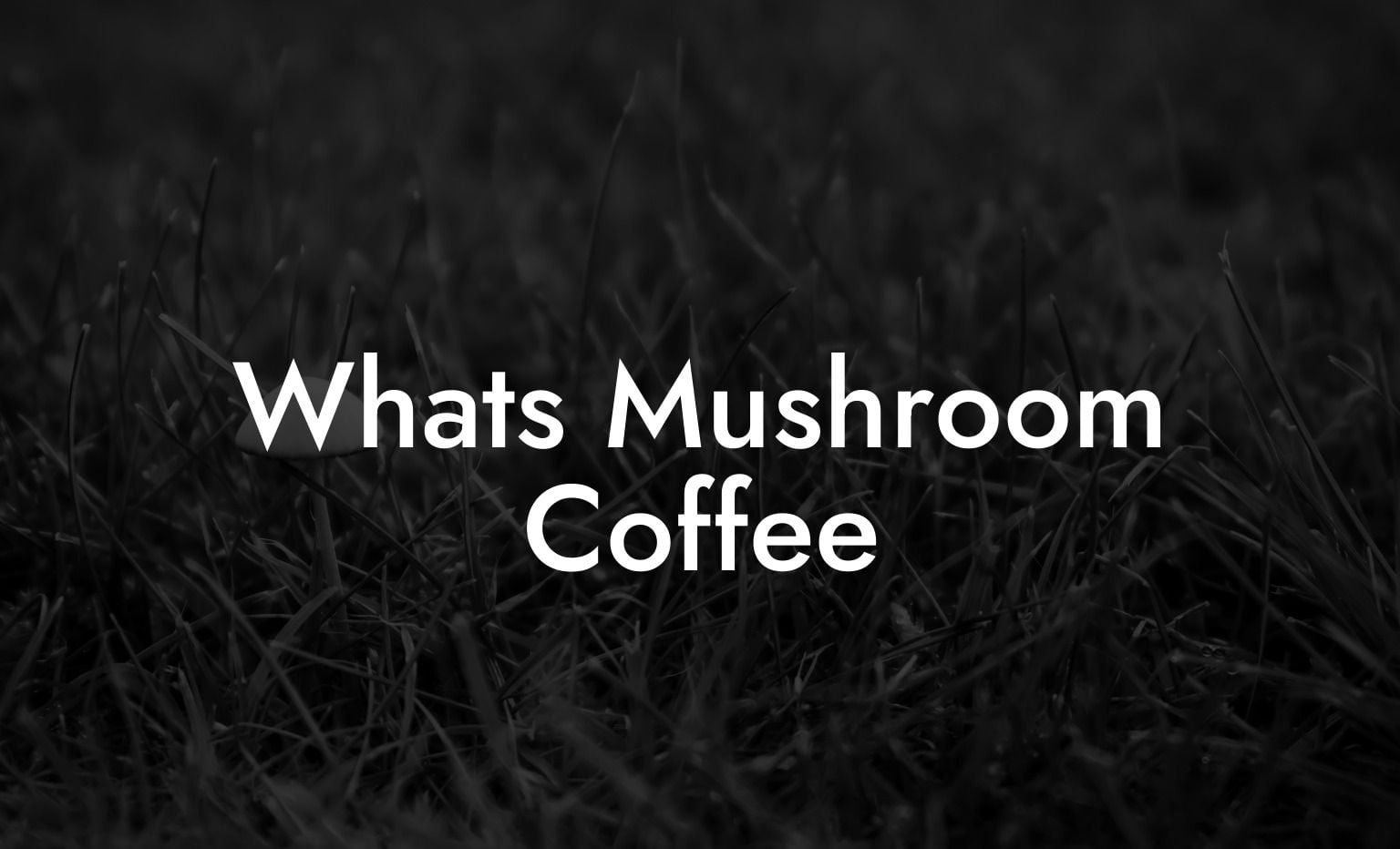 What's Mushroom Coffee