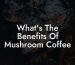 What's The Benefits Of Mushroom Coffee