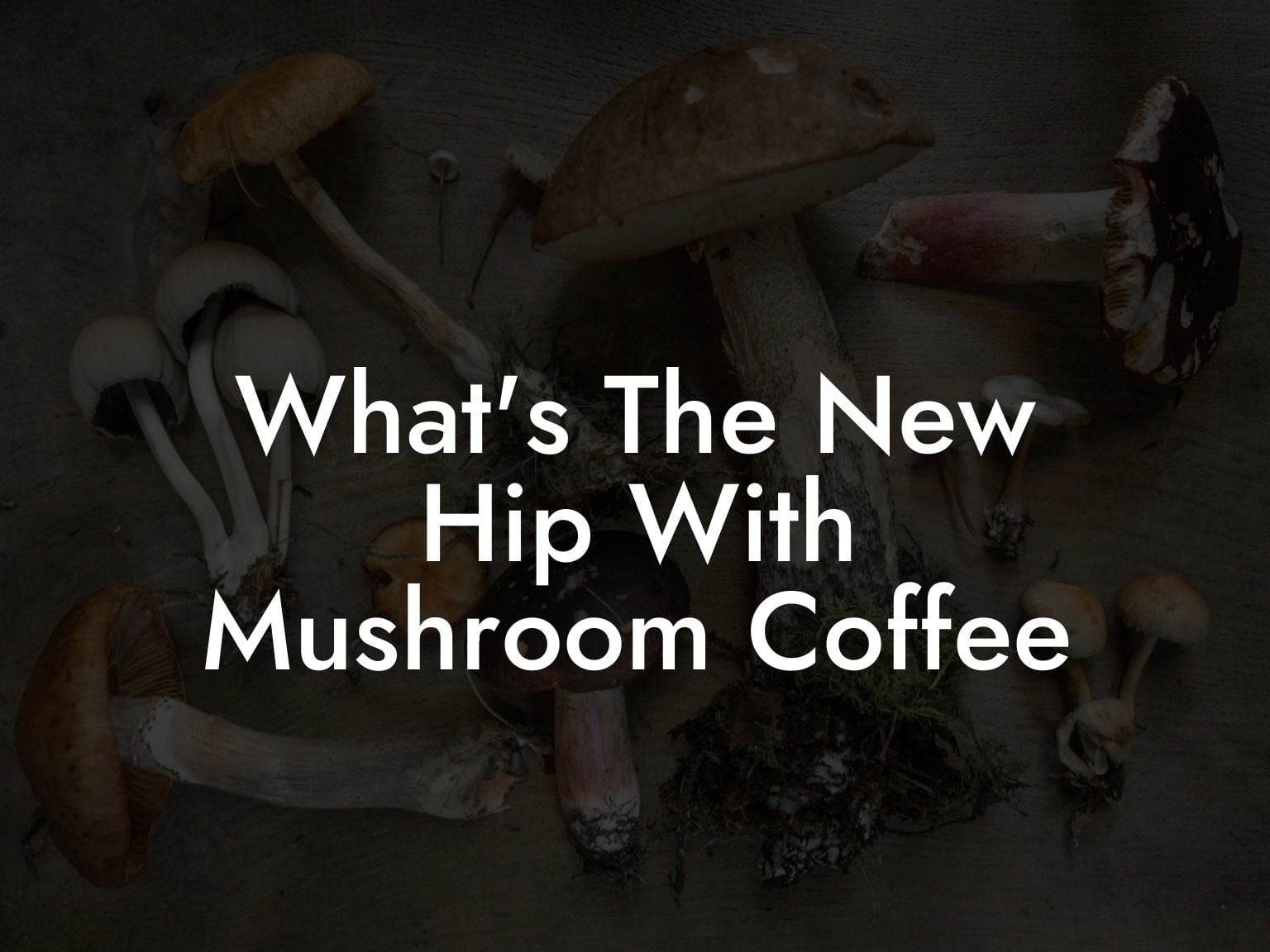 What's The New Hip With Mushroom Coffee