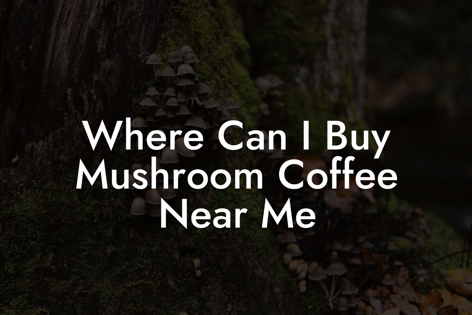 Where Can I Buy Mushroom Coffee Near Me