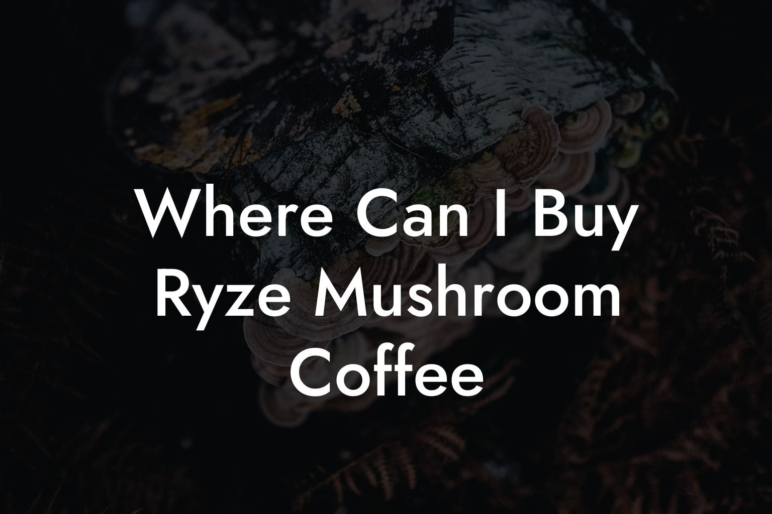 Where Can I Buy Ryze Mushroom Coffee