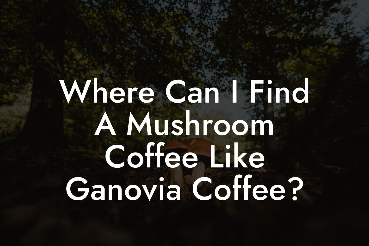 Where Can I Find A Mushroom Coffee Like Ganovia Coffee?