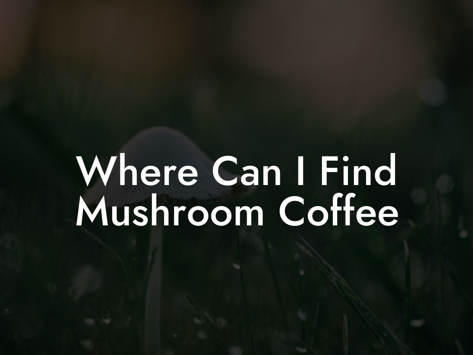 Where Can I Find Mushroom Coffee