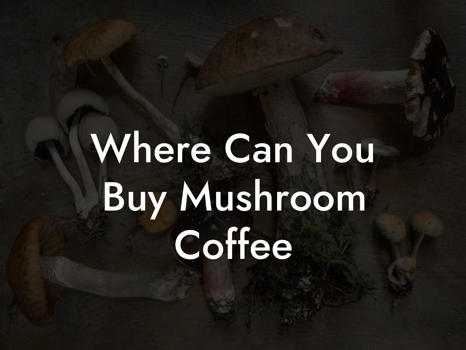 Where Can You Buy Mushroom Coffee