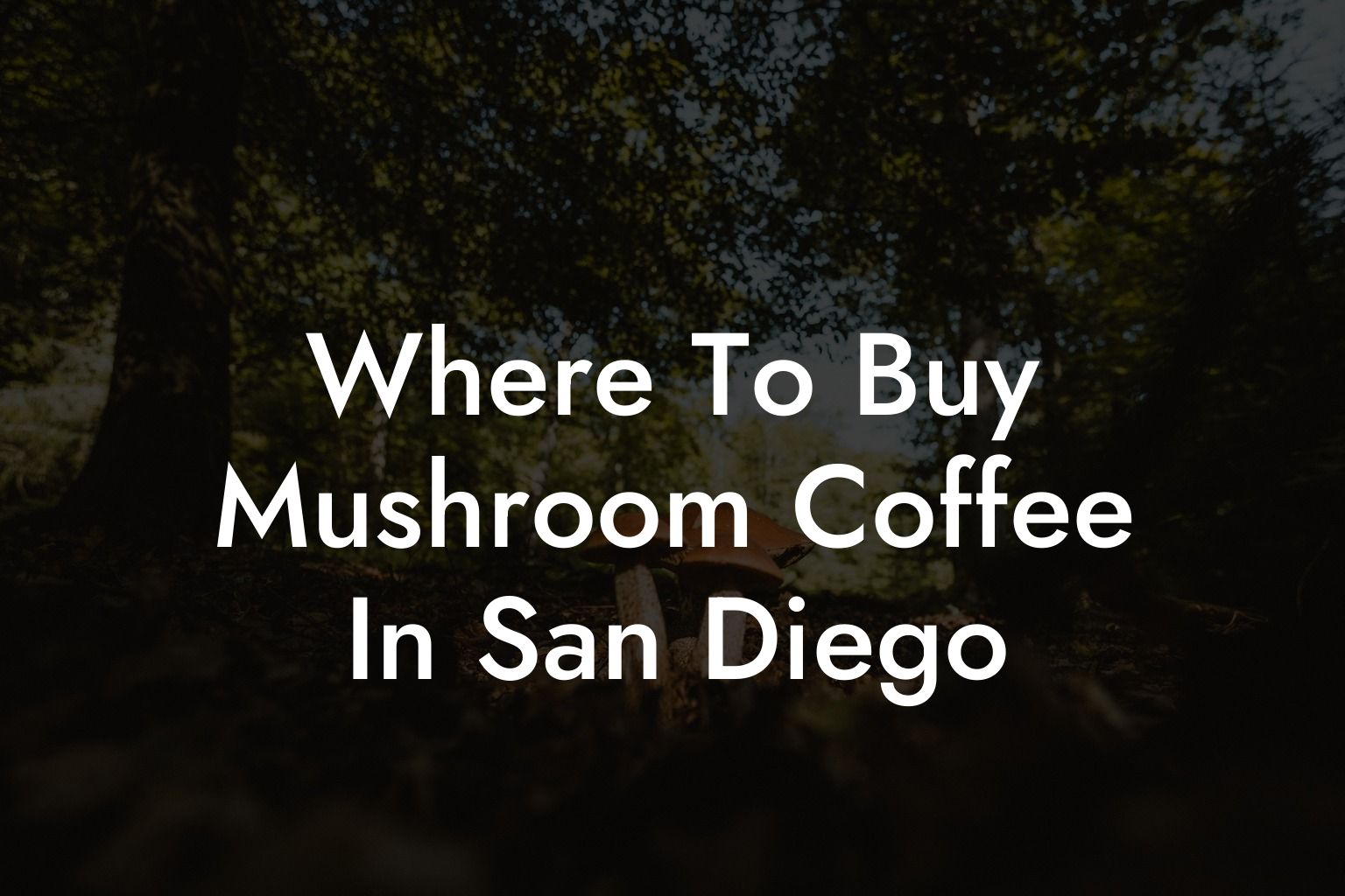 Where To Buy Mushroom Coffee In San Diego