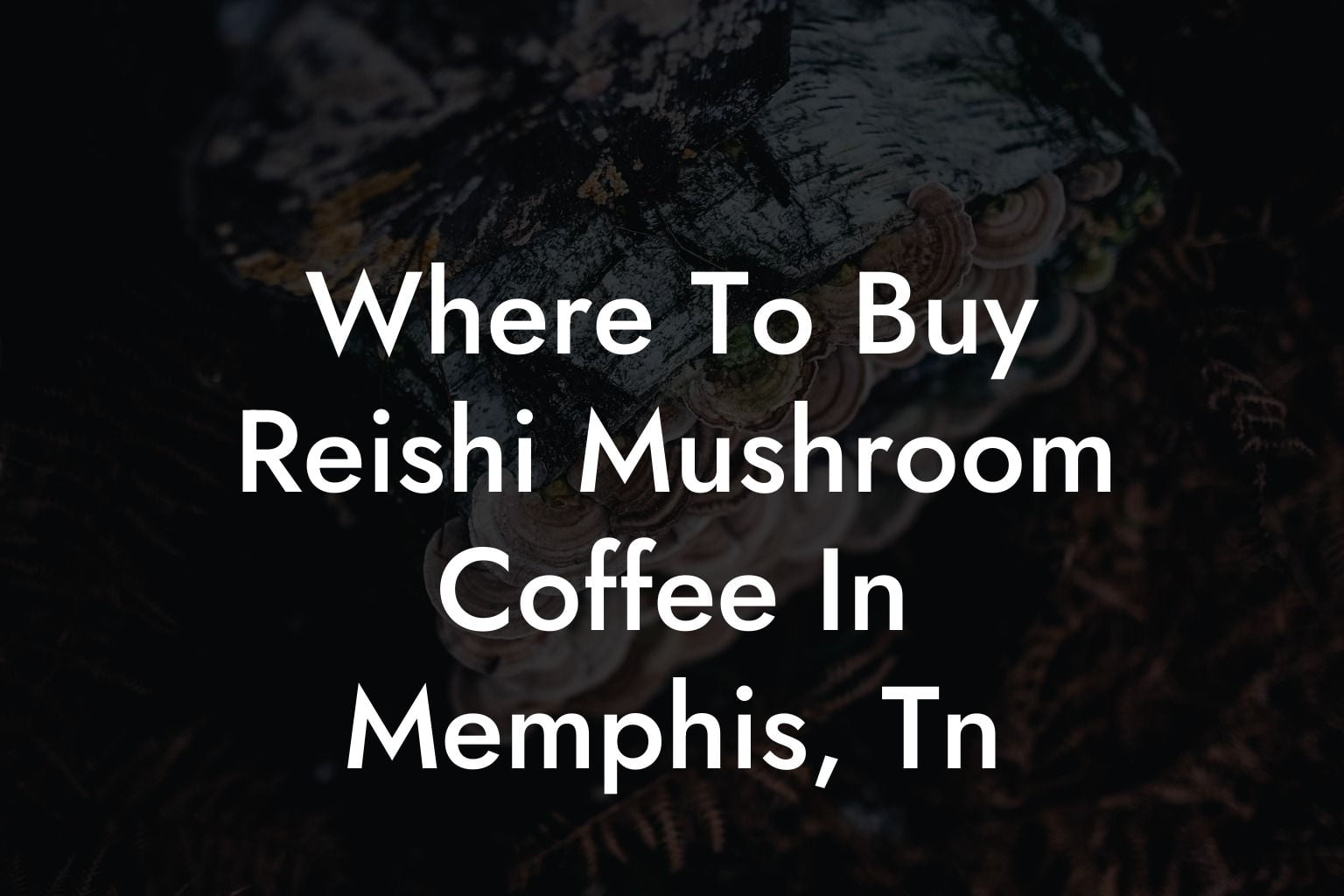 Where To Buy Reishi Mushroom Coffee In Memphis, Tn
