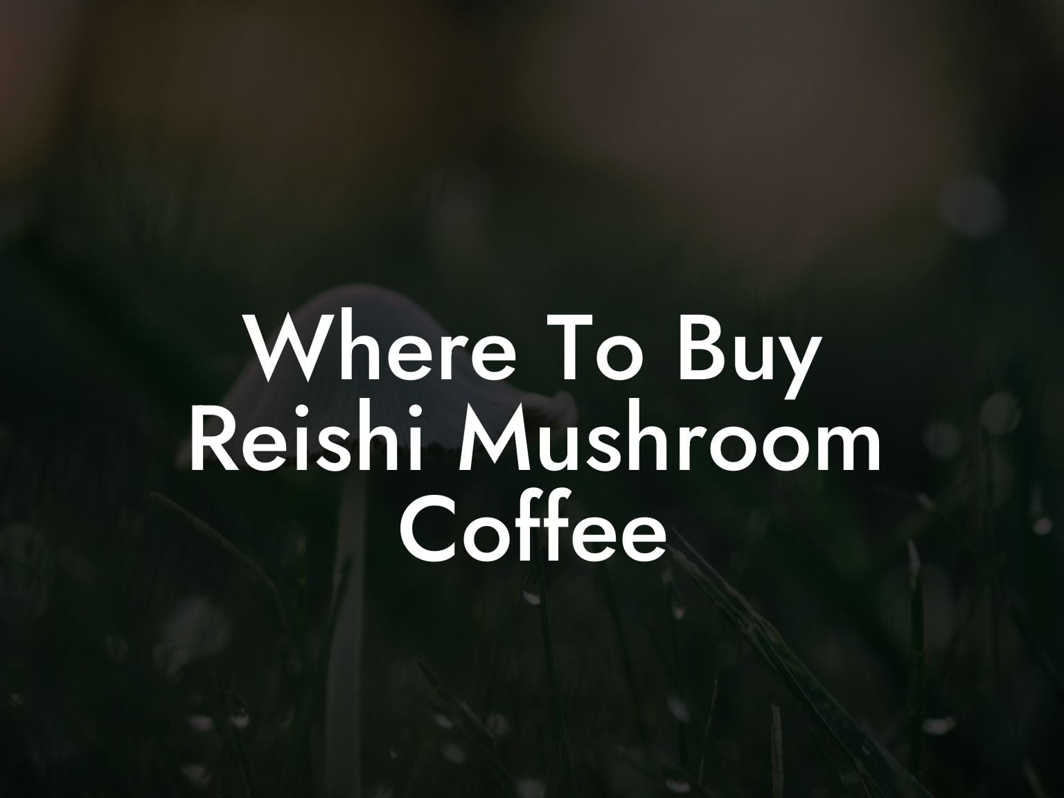 Where To Buy Reishi Mushroom Coffee