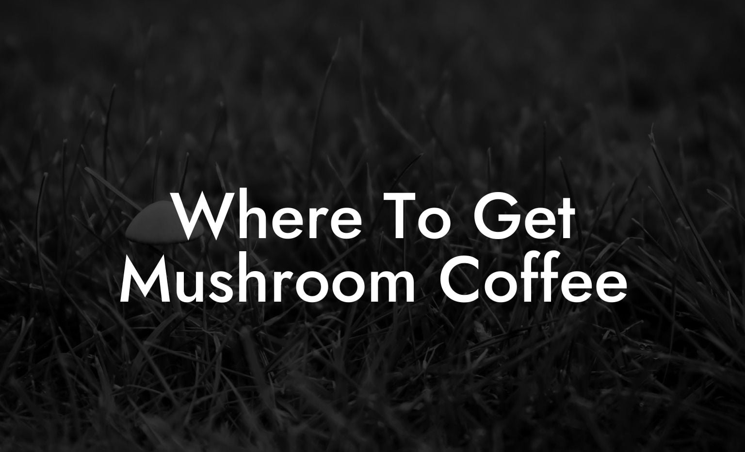 Where To Get Mushroom Coffee