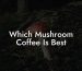 Which Mushroom Coffee Is Best