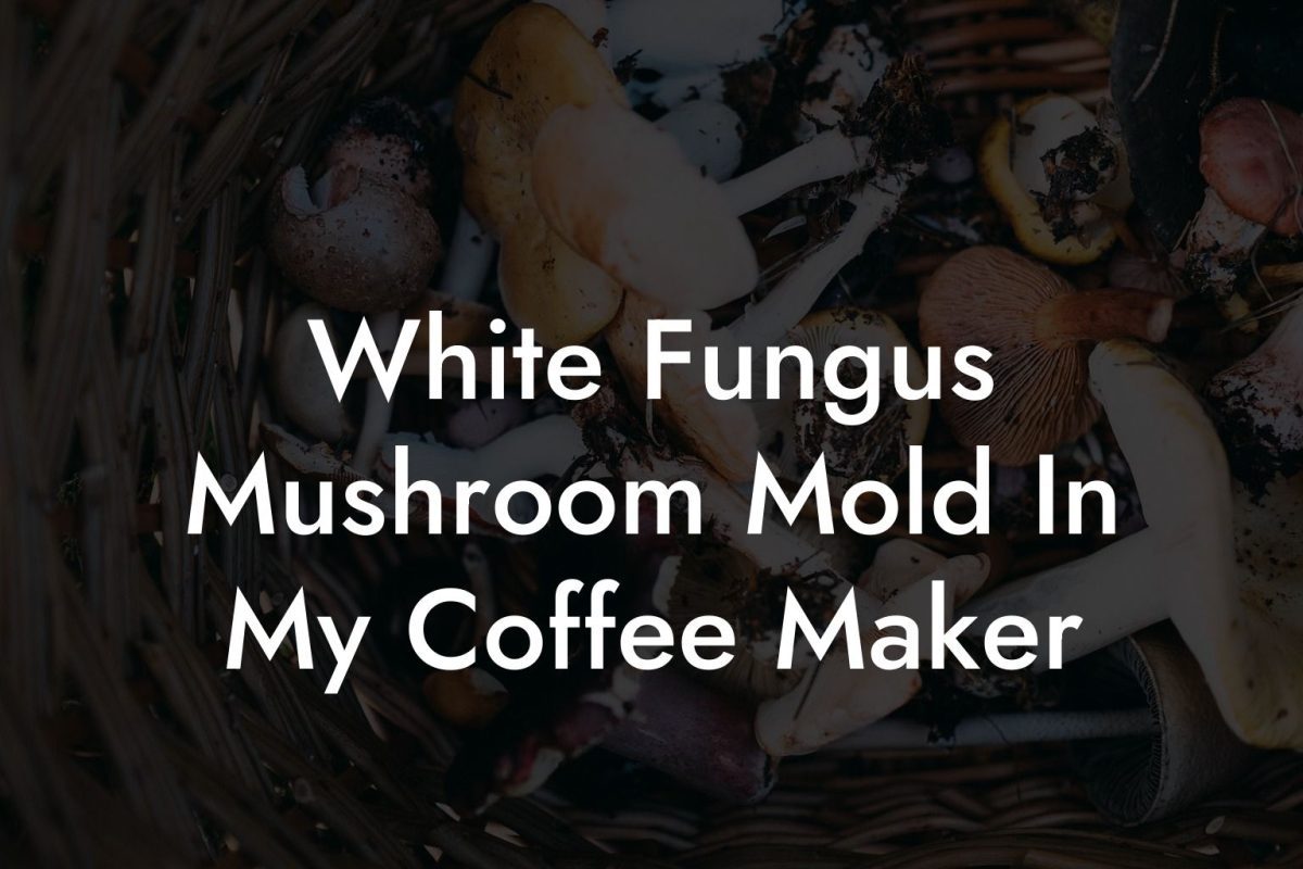 White Fungus Mushroom Mold In My Coffee Maker