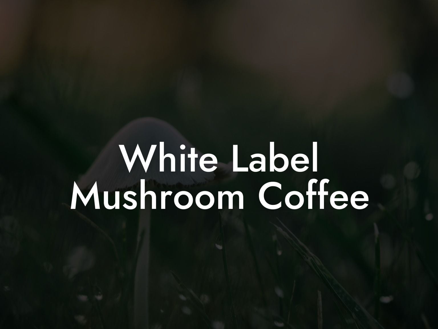 White Label Mushroom Coffee