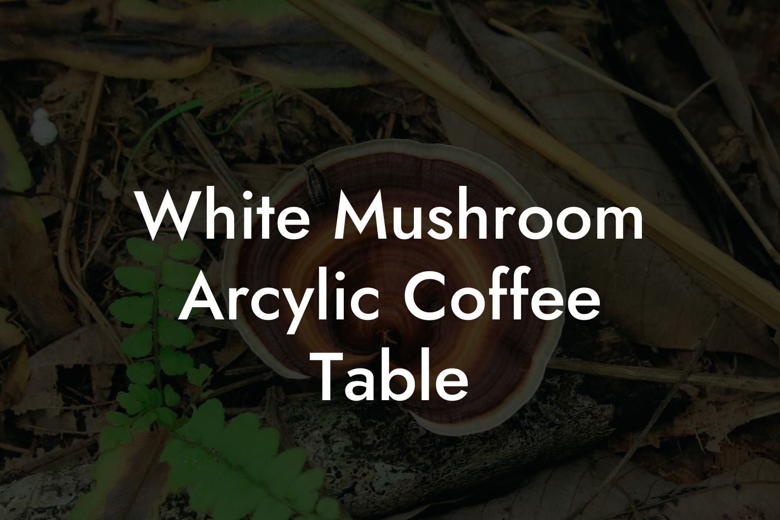 White Mushroom Arcylic Coffee Table