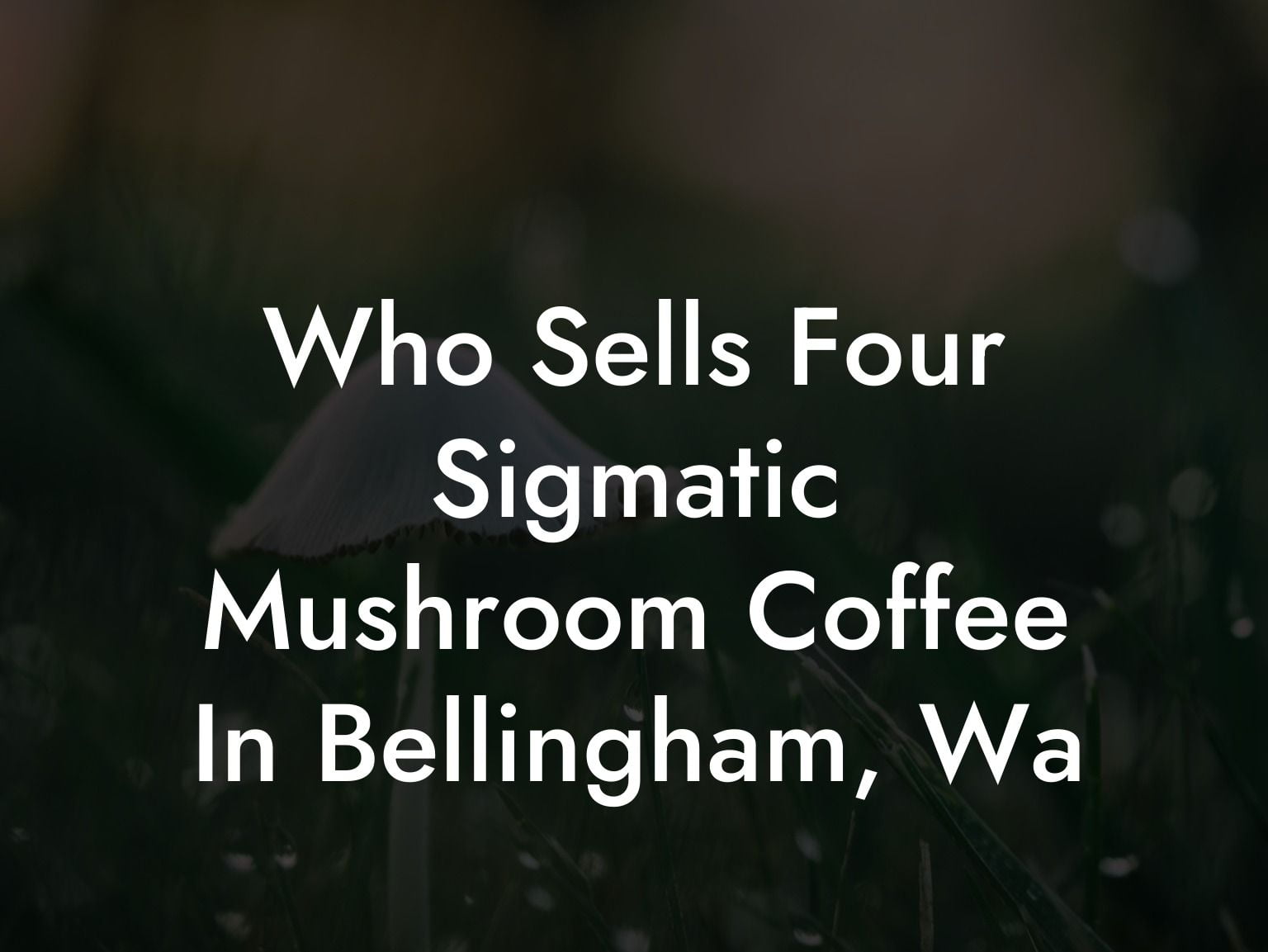 Who Sells Four Sigmatic Mushroom Coffee In Bellingham, Wa