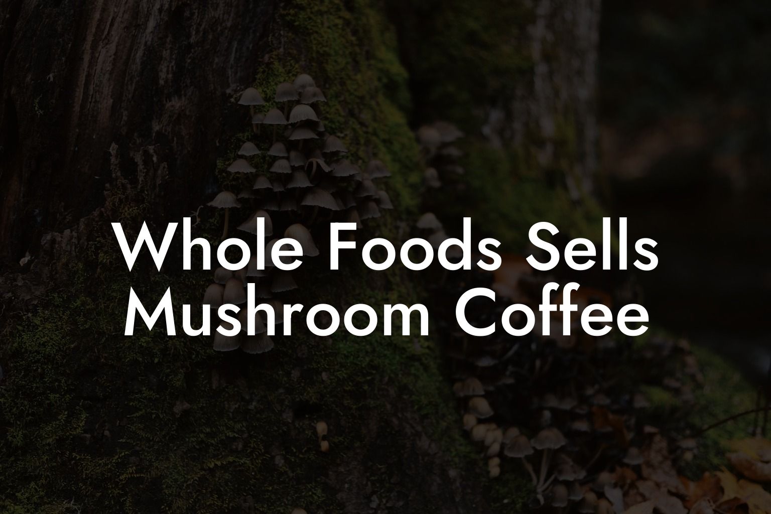 Whole Foods Sells Mushroom Coffee