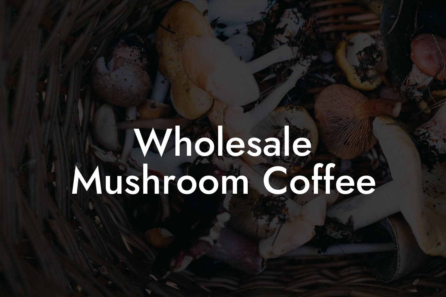 Wholesale Mushroom Coffee