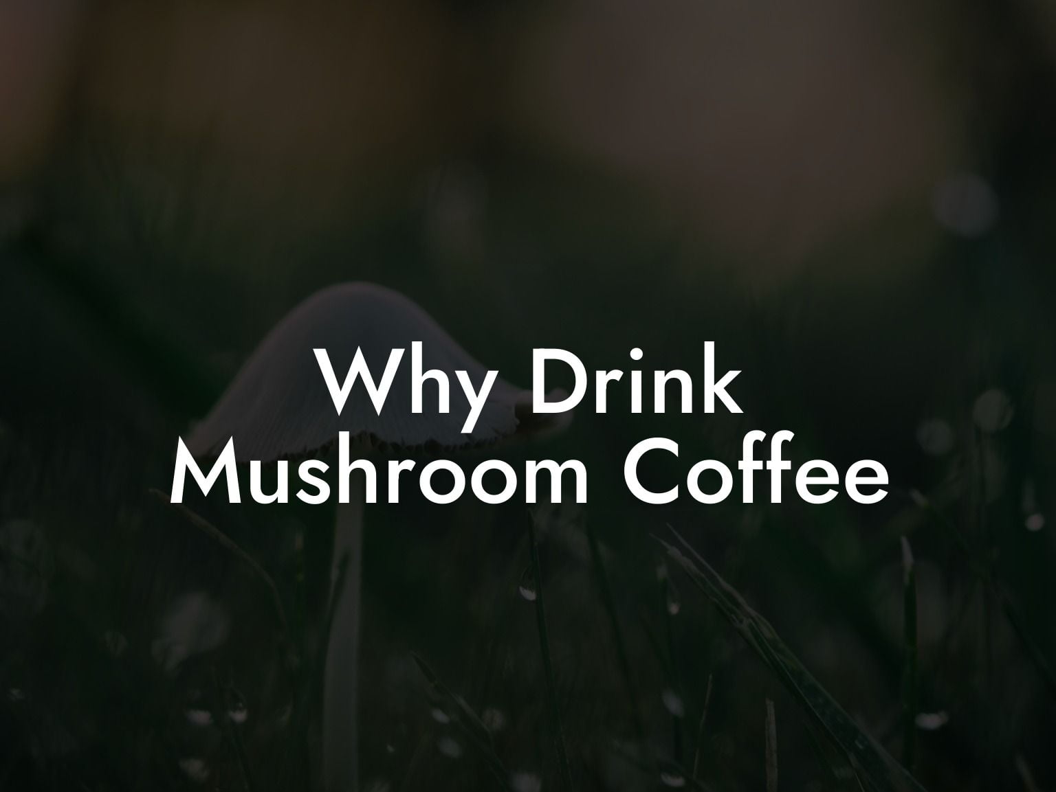 Why Drink Mushroom Coffee