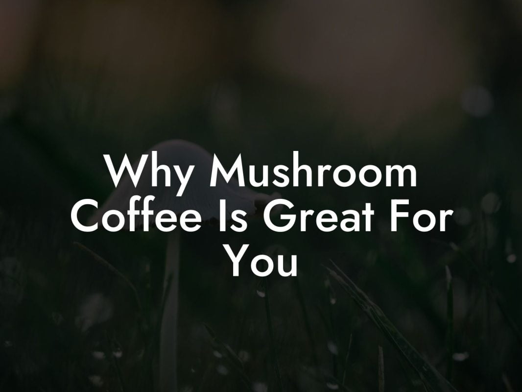 Why Mushroom Coffee Is Great For You