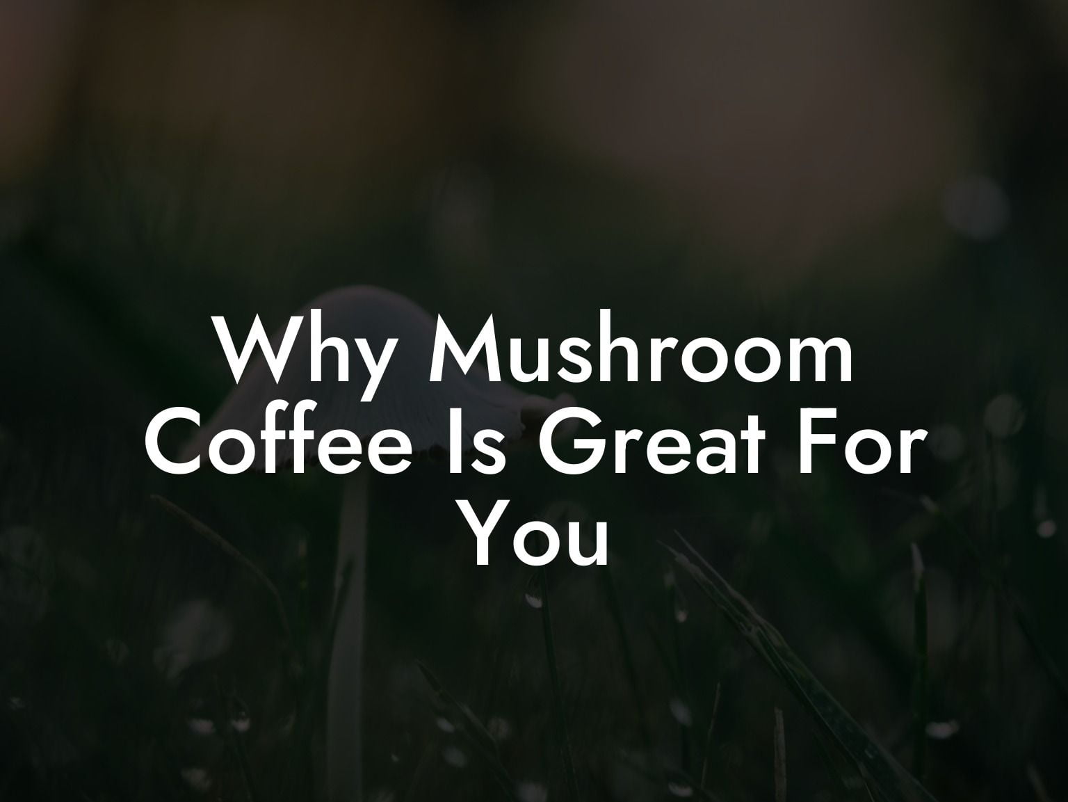 Why Mushroom Coffee Is Great For You