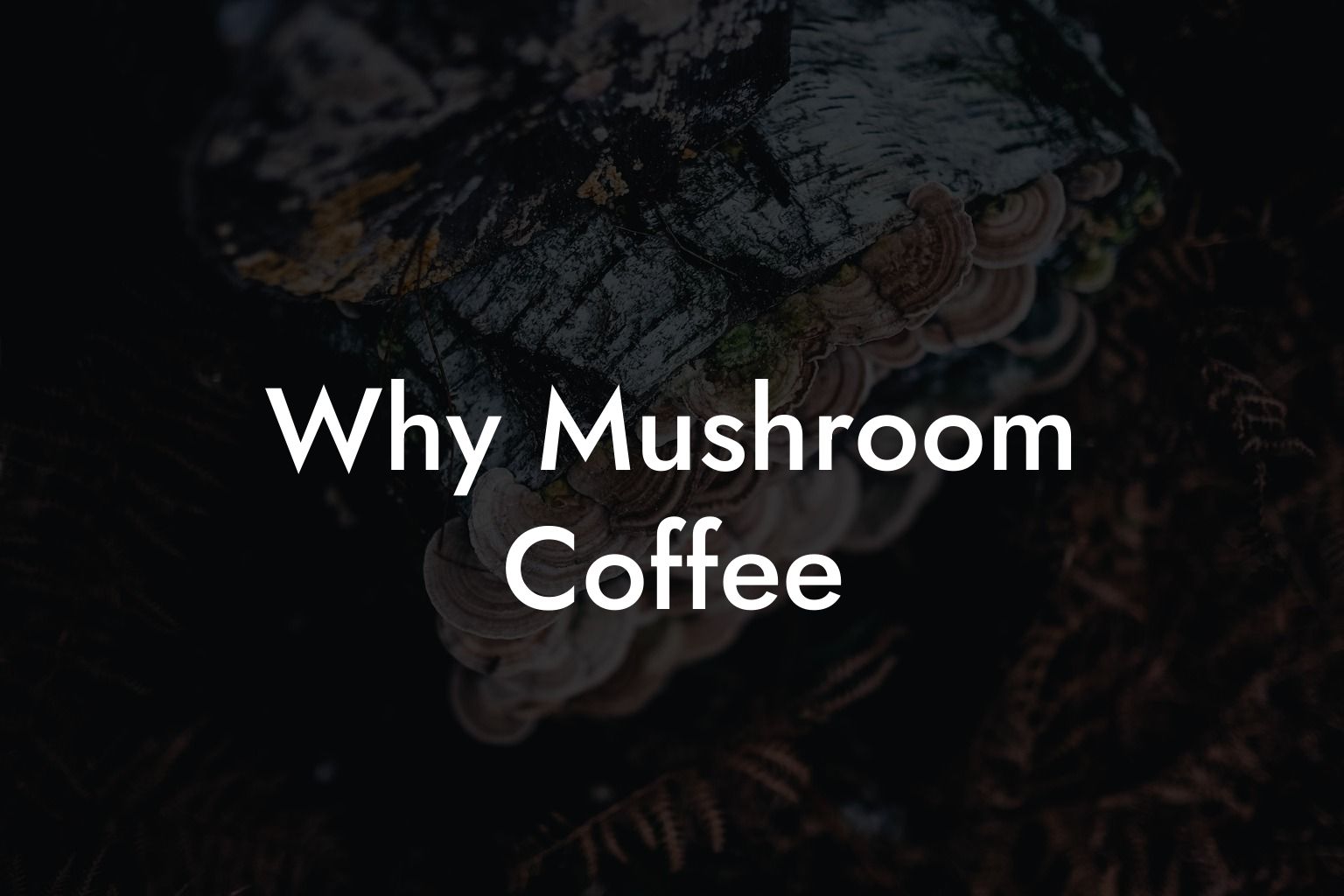 Why Mushroom Coffee