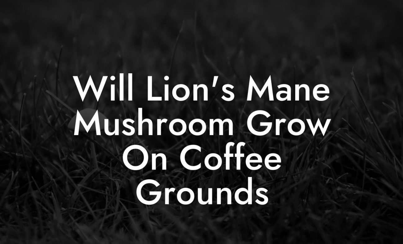 Will Lion's Mane Mushroom Grow On Coffee Grounds